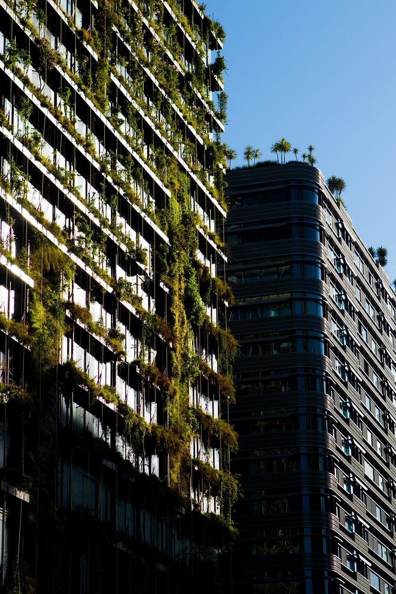 Eco-Friendly Designer